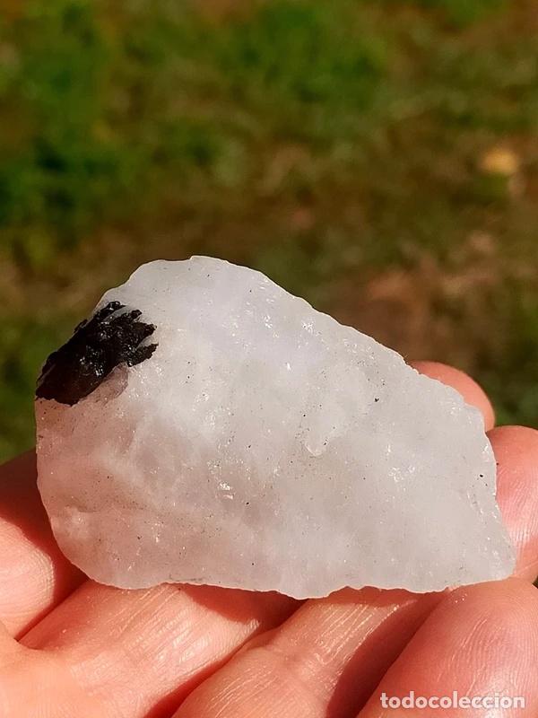 Coleccionismo de minerales: Quarzo Tormalinato grezzo. - Foto 3