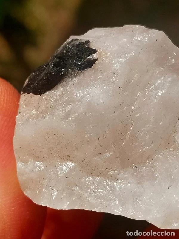 Coleccionismo de minerales: Quarzo Tormalinato grezzo. - Foto 4