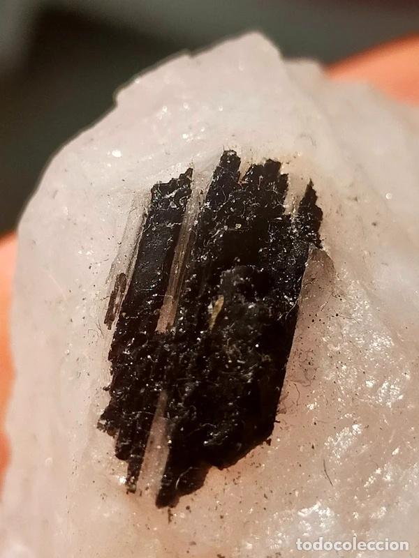 Coleccionismo de minerales: Quarzo Tormalinato grezzo. - Foto 5