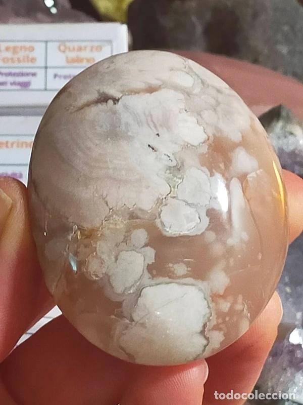 Coleccionismo de minerales: Agata Fiore dal Madagascar con inclusioni di Calcite bianca 140g