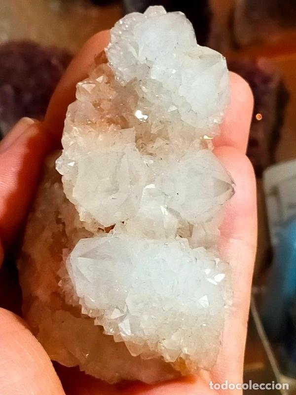 Coleccionismo de minerales: Cactus Ametistino, drusa.
