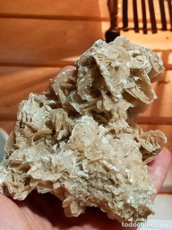 Coleccionismo de minerales: Rosa del deserto proveniente dall'Algeria peso 418 gr