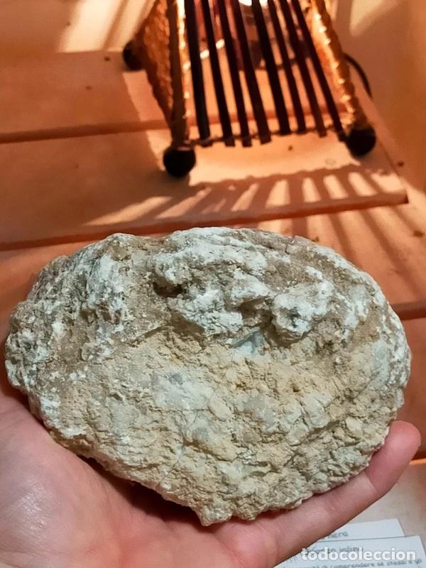 Coleccionismo de minerales: Geode in Quarzo Ialino - Foto 4