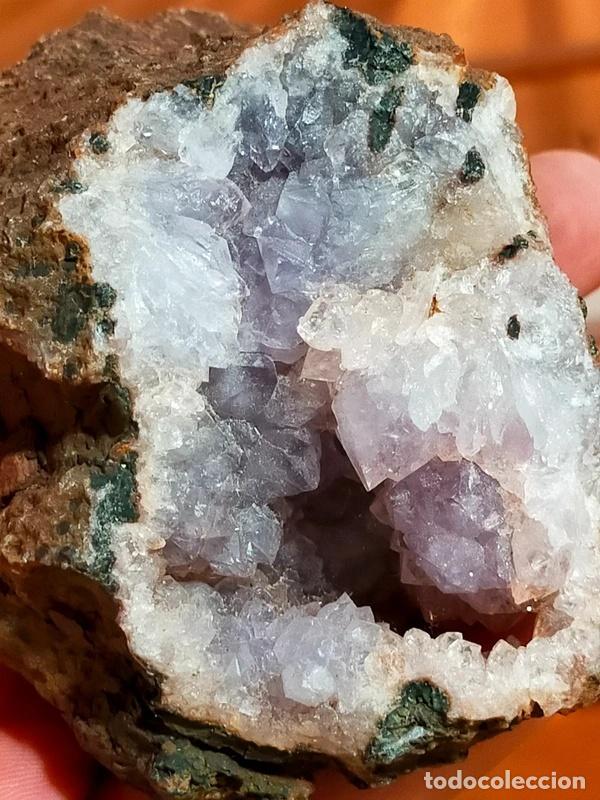 Coleccionismo de minerales: Geode completo di Ametista - Foto 7