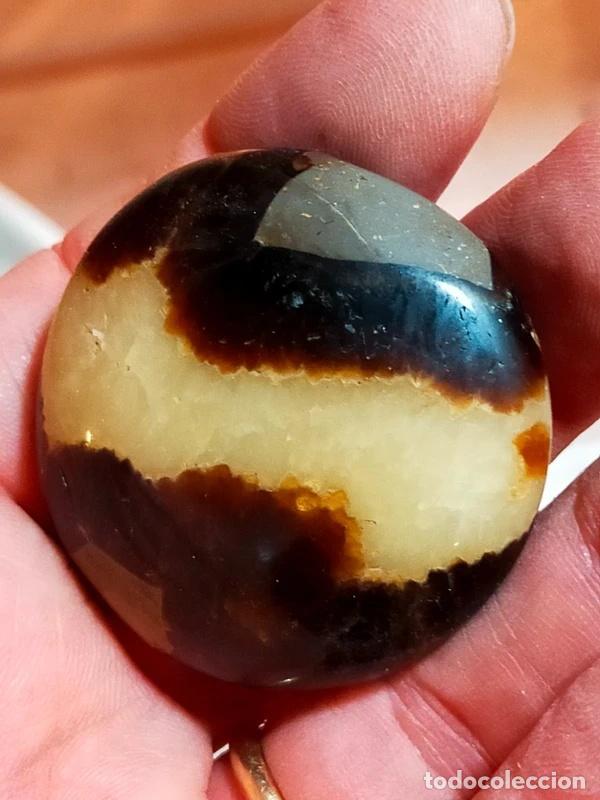 Sammlung von Mineralien: Septaria lavorata a ciottolo dal Madagascar da 52 grammi