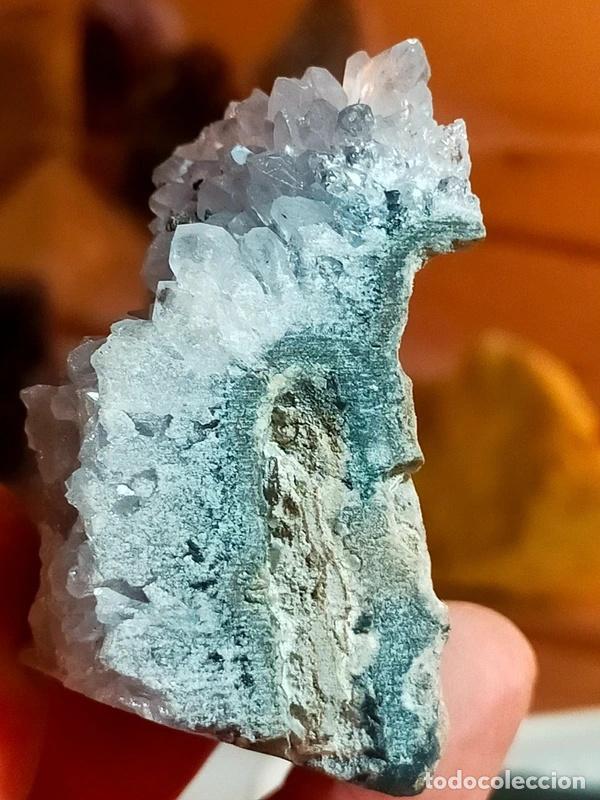 Sammlung von Mineralien: Drusa di Ametista con &rdquo;ciuffo&rdquo;