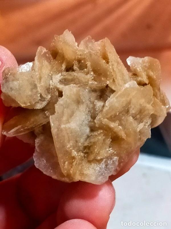 Coleccionismo de minerales: Rosellina del Deserto - Foto 2