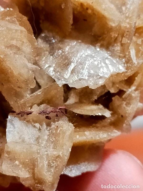Coleccionismo de minerales: Rosellina del Deserto - Foto 3