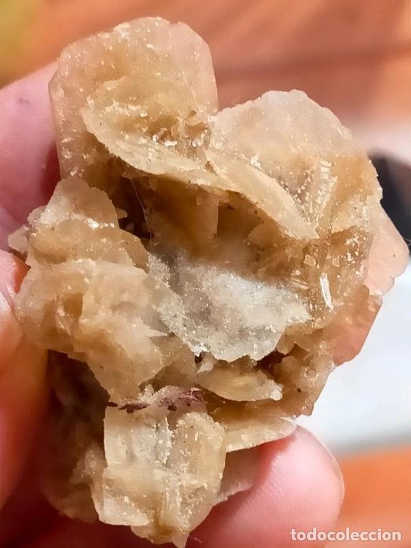Coleccionismo de minerales: Rosellina del Deserto - Foto 4