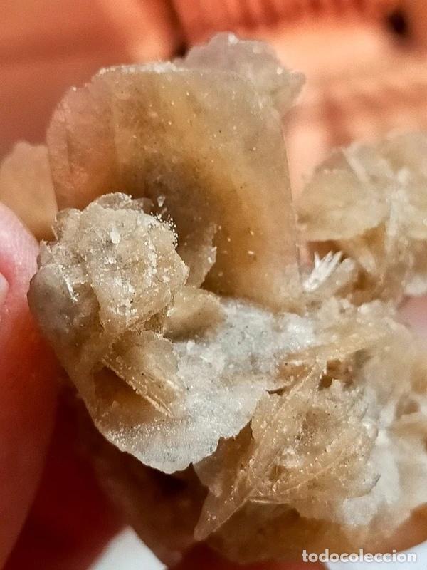 Coleccionismo de minerales: Rosellina del Deserto - Foto 5