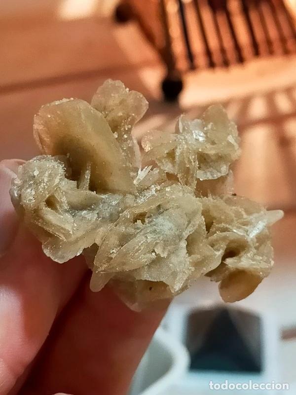 Coleccionismo de minerales: Rosellina del Deserto - Foto 6