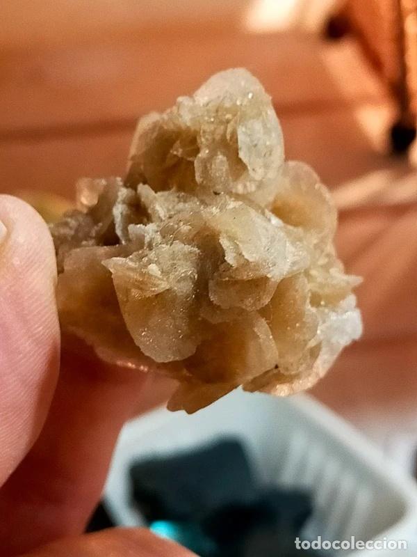 Coleccionismo de minerales: Rosellina del Deserto - Foto 7