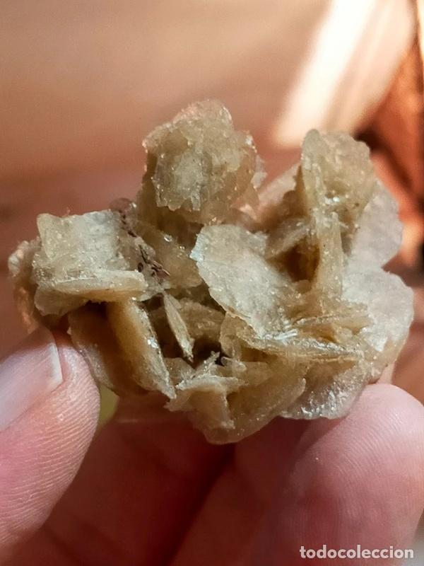 Coleccionismo de minerales: Rosellina del Deserto - Foto 8