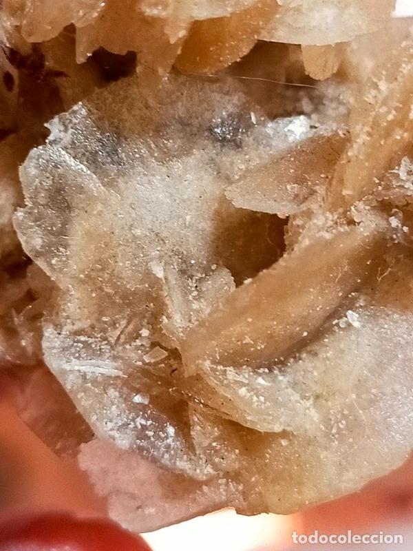 Coleccionismo de minerales: Rosellina del Deserto - Foto 1