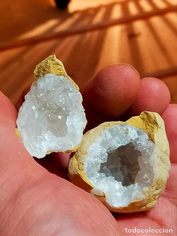 Coleccionismo de minerales: Geodino in Quarzo Ialino