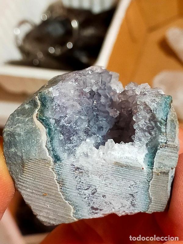 Coleccionismo de minerales: Drusetta a geode di Ametista - Foto 6