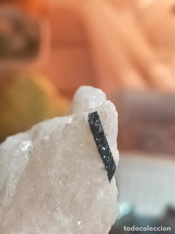 Coleccionismo de minerales: Quarzo Tormalinato grezzo - Foto 3