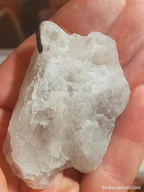 Coleccionismo de minerales: Quarzo Tormalinato grezzo - Foto 5