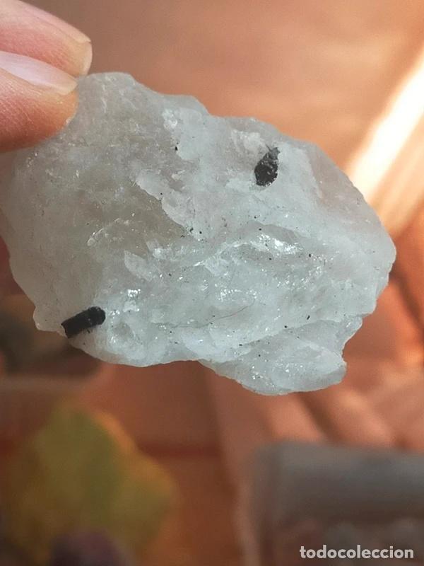Coleccionismo de minerales: Quarzo Tormalinato grezzo - Foto 6