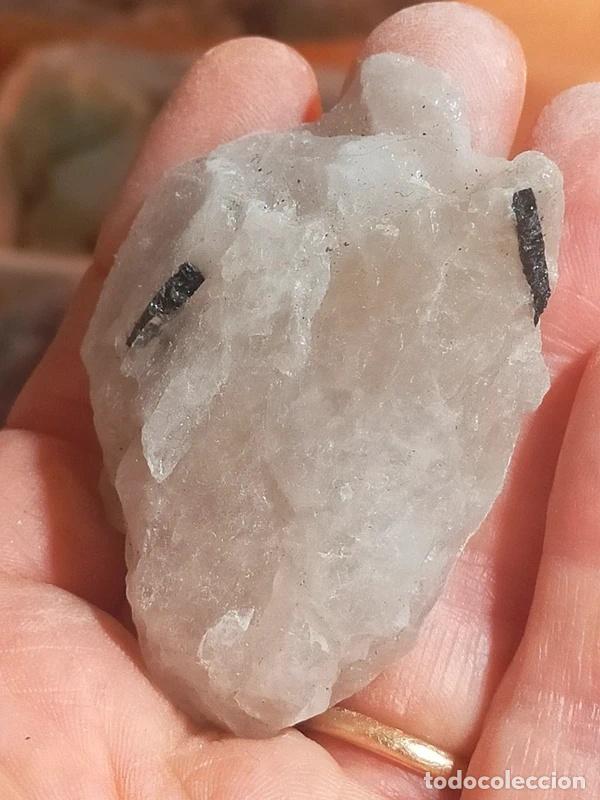Coleccionismo de minerales: Quarzo Tormalinato grezzo - Foto 7