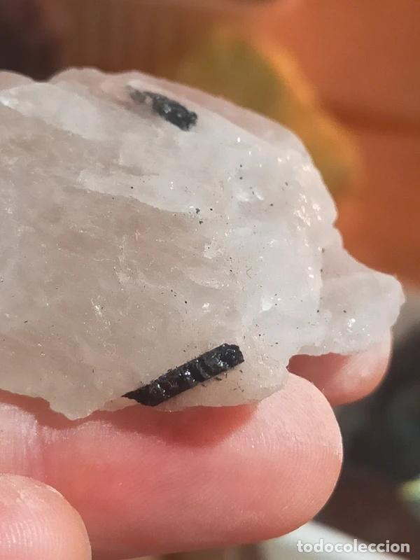 Coleccionismo de minerales: Quarzo Tormalinato grezzo - Foto 1