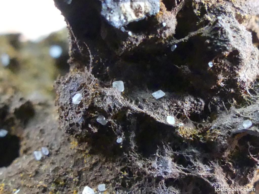 Coleccionismo de minerales: Anglesita, Cartagena, Murcia