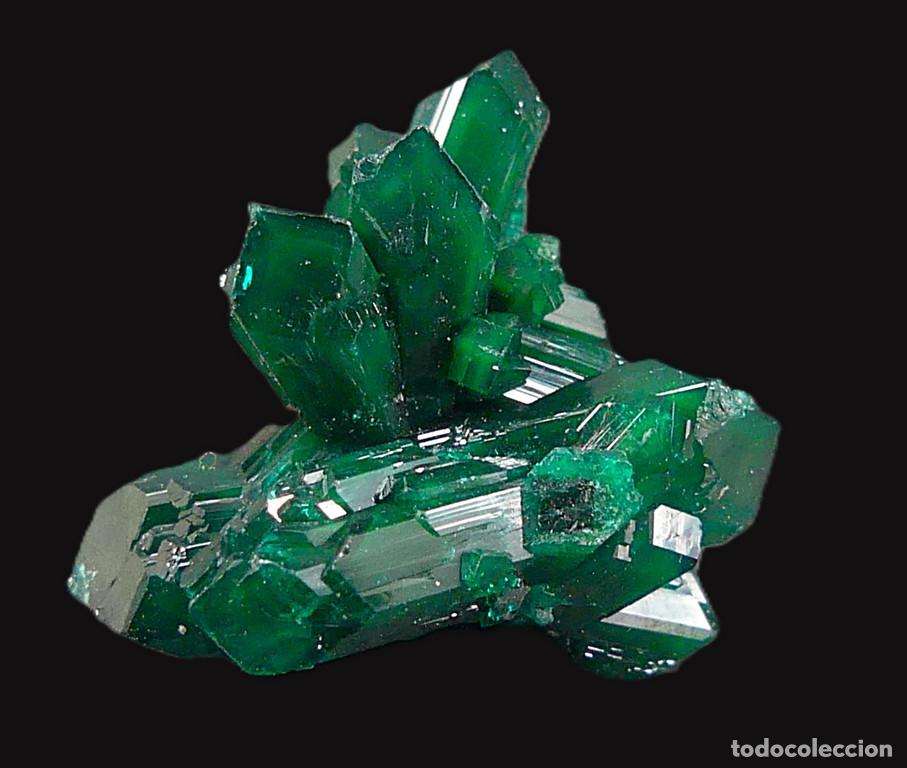 Coleccionismo de minerales: Dioptasa, Katanga, Congo