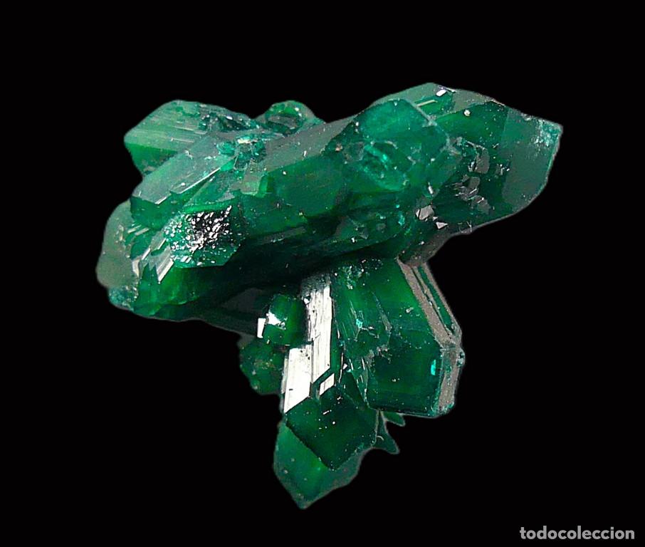 Coleccionismo de minerales: Dioptasa, Katanga, Congo - Foto 2