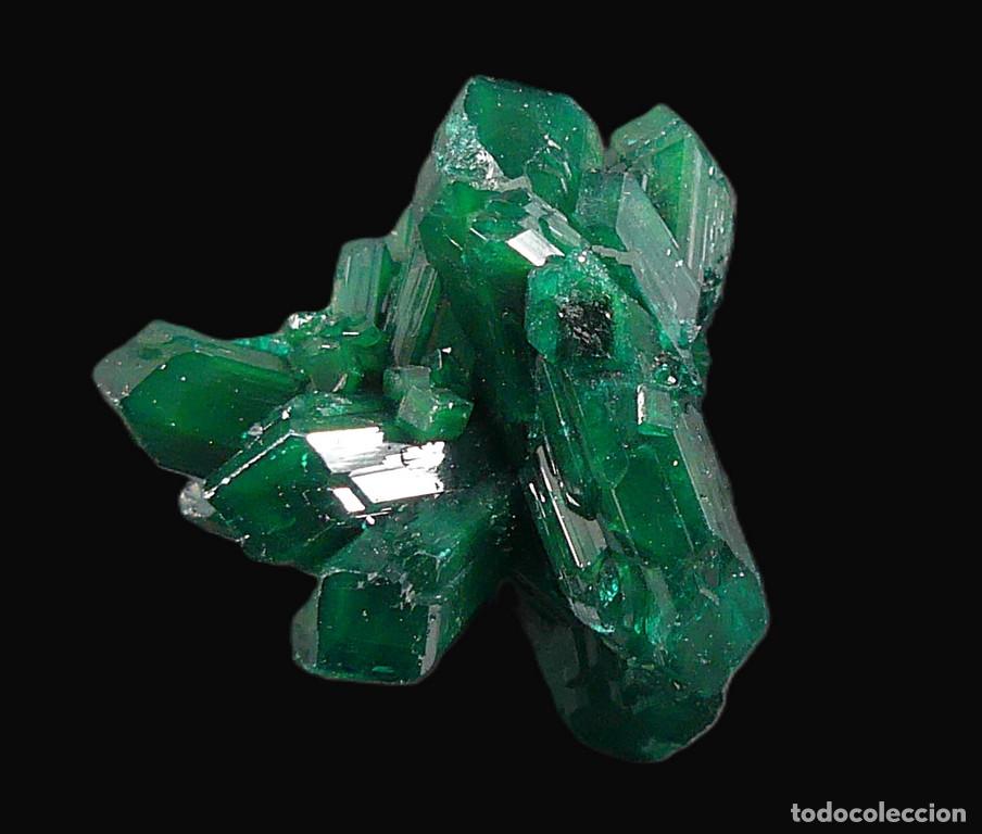 Coleccionismo de minerales: Dioptasa, Katanga, Congo - Foto 3