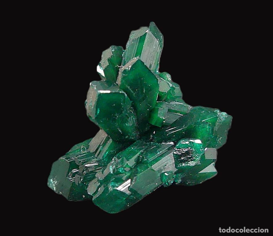 Coleccionismo de minerales: Dioptasa, Katanga, Congo - Foto 4