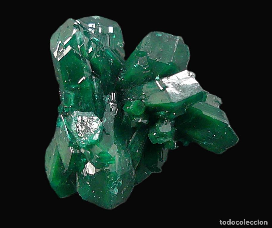 Coleccionismo de minerales: Dioptasa, Katanga, Congo - Foto 5