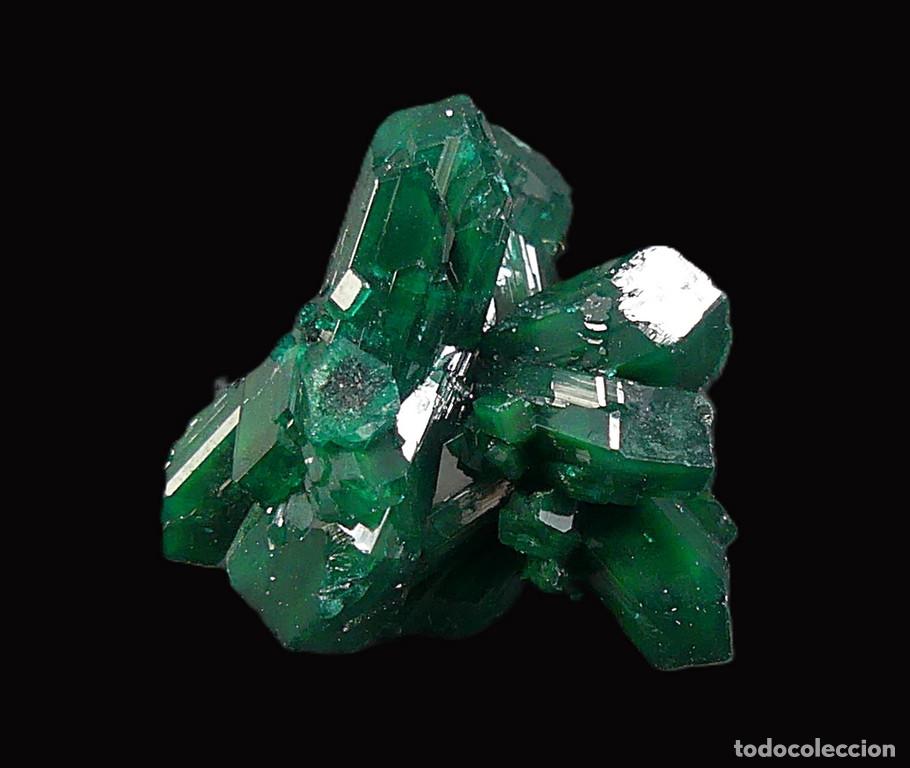 Coleccionismo de minerales: Dioptasa, Katanga, Congo - Foto 6