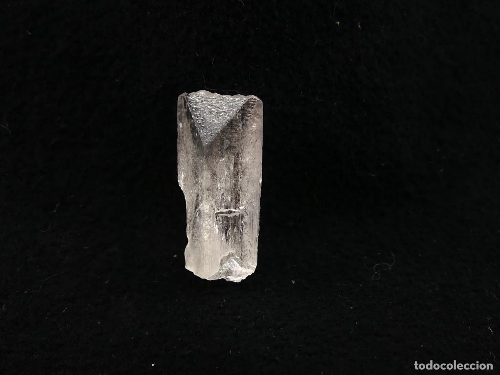 Coleccionismo de minerales: Damburita, Charcas, M&eacute;xico - Foto 3
