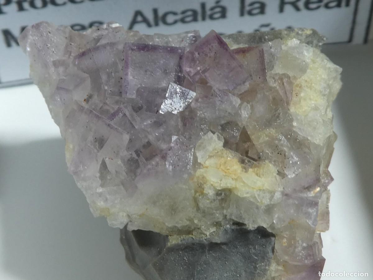 Coleccionismo de minerales: (030) FLUORITA, MURES, JAEN, ESPA&Ntilde;A.