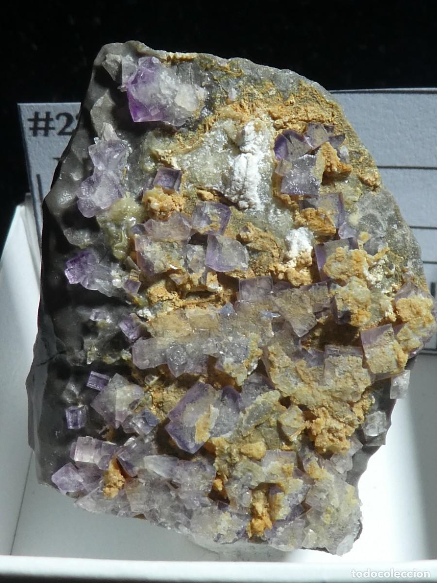 Coleccionismo de minerales: (222) FLUORITA, MURES, JAEN, ESPA&Ntilde;A.