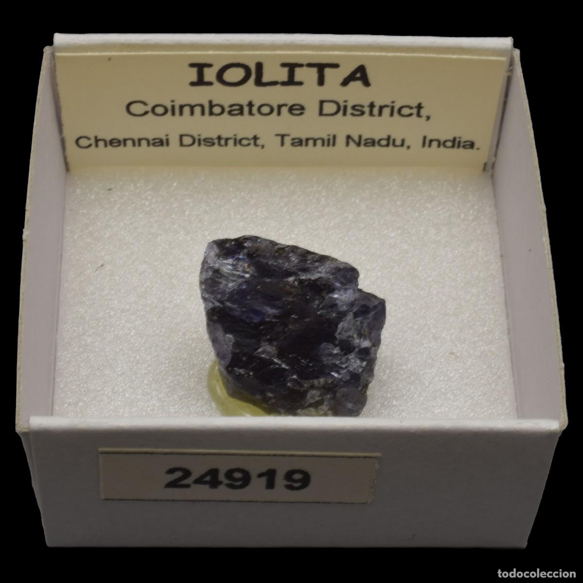 Mineral collecting: IOLITA (Coimbatore district, Chennai dist., Tamil Nadu, India) #24919