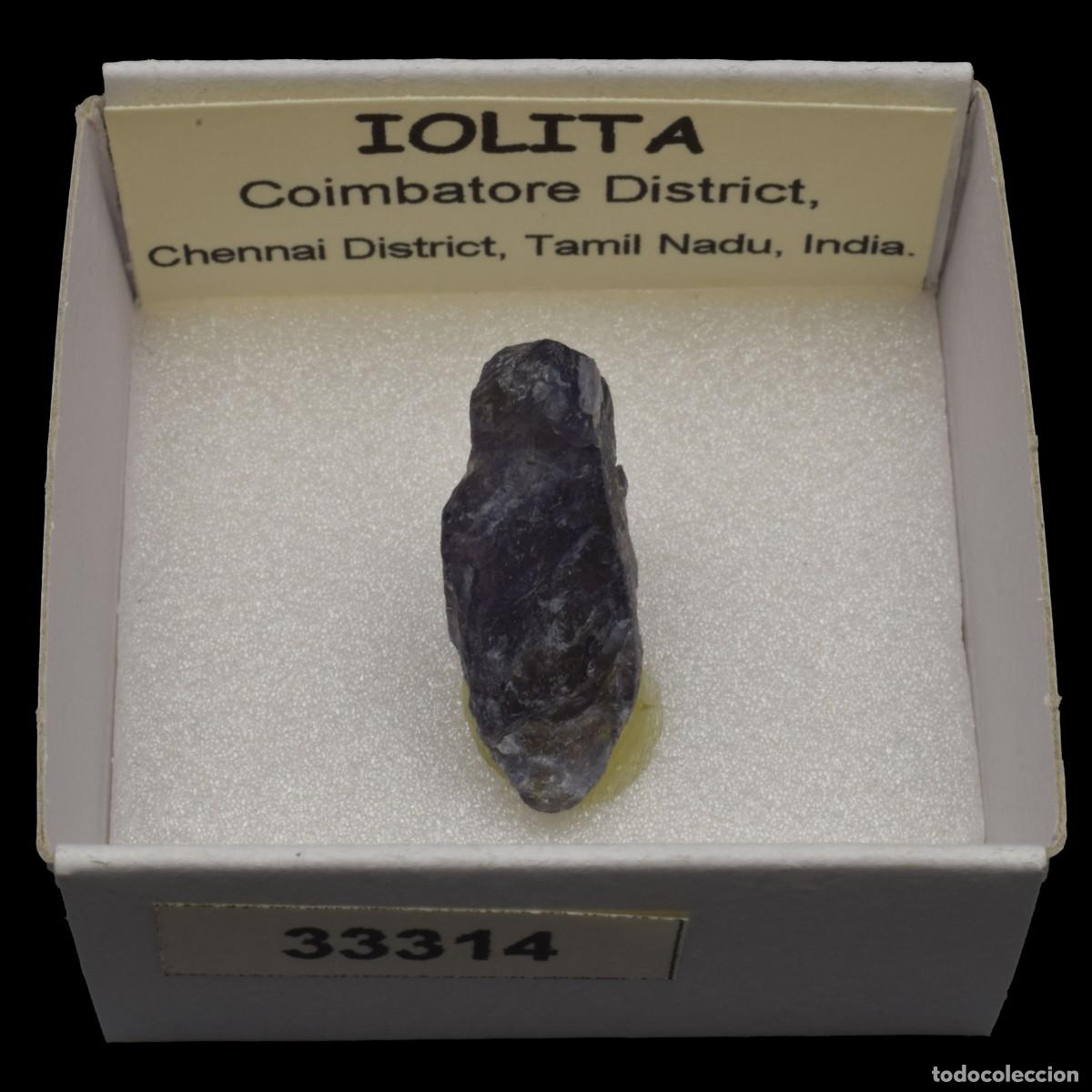 Coleccionismo de minerales: IOLITA (Coimbatore district, Chennai dist., Tamil Nadu, India) #33314