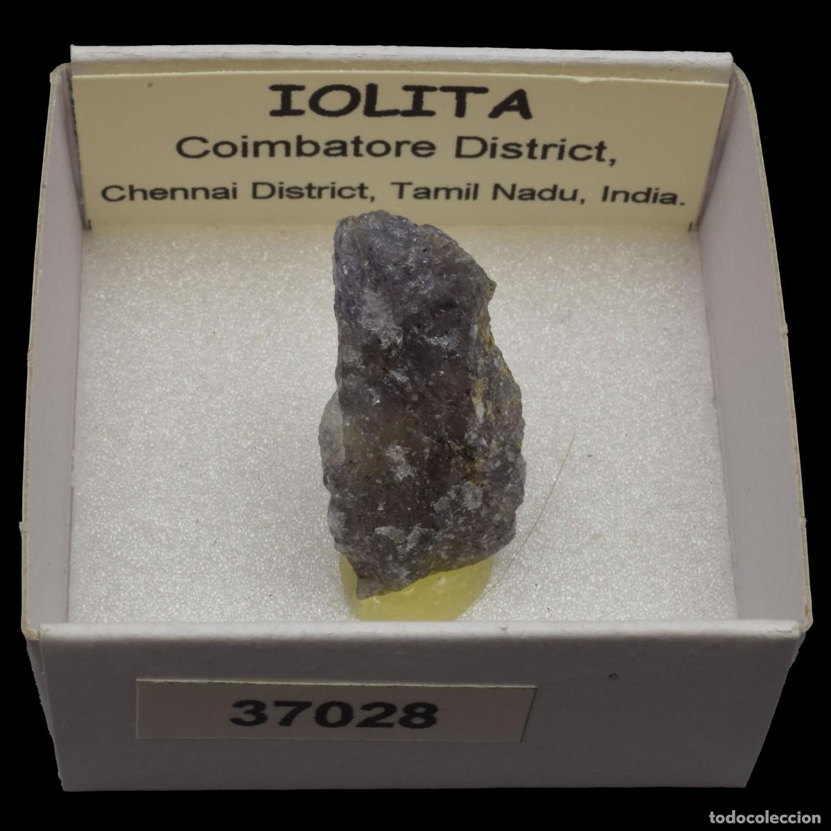 Coleccionismo de minerales: IOLITA (Coimbatore district, Chennai dist., Tamil Nadu, India) #37028