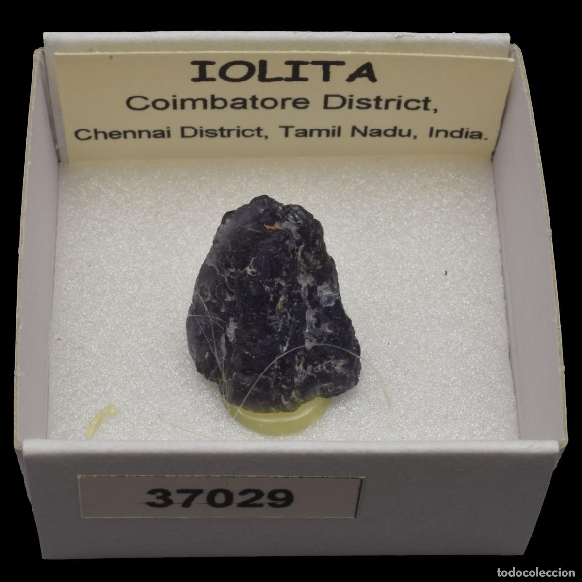 Coleccionismo de minerales: IOLITA (Coimbatore district, Chennai dist., Tamil Nadu, India) #37029