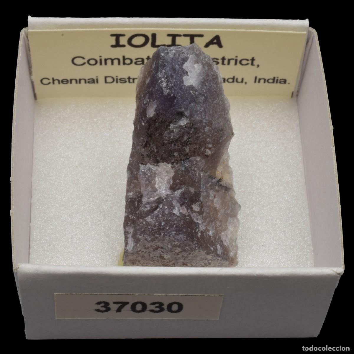 Coleccionismo de minerales: IOLITA (Coimbatore district, Chennai dist., Tamil Nadu, India) #37030