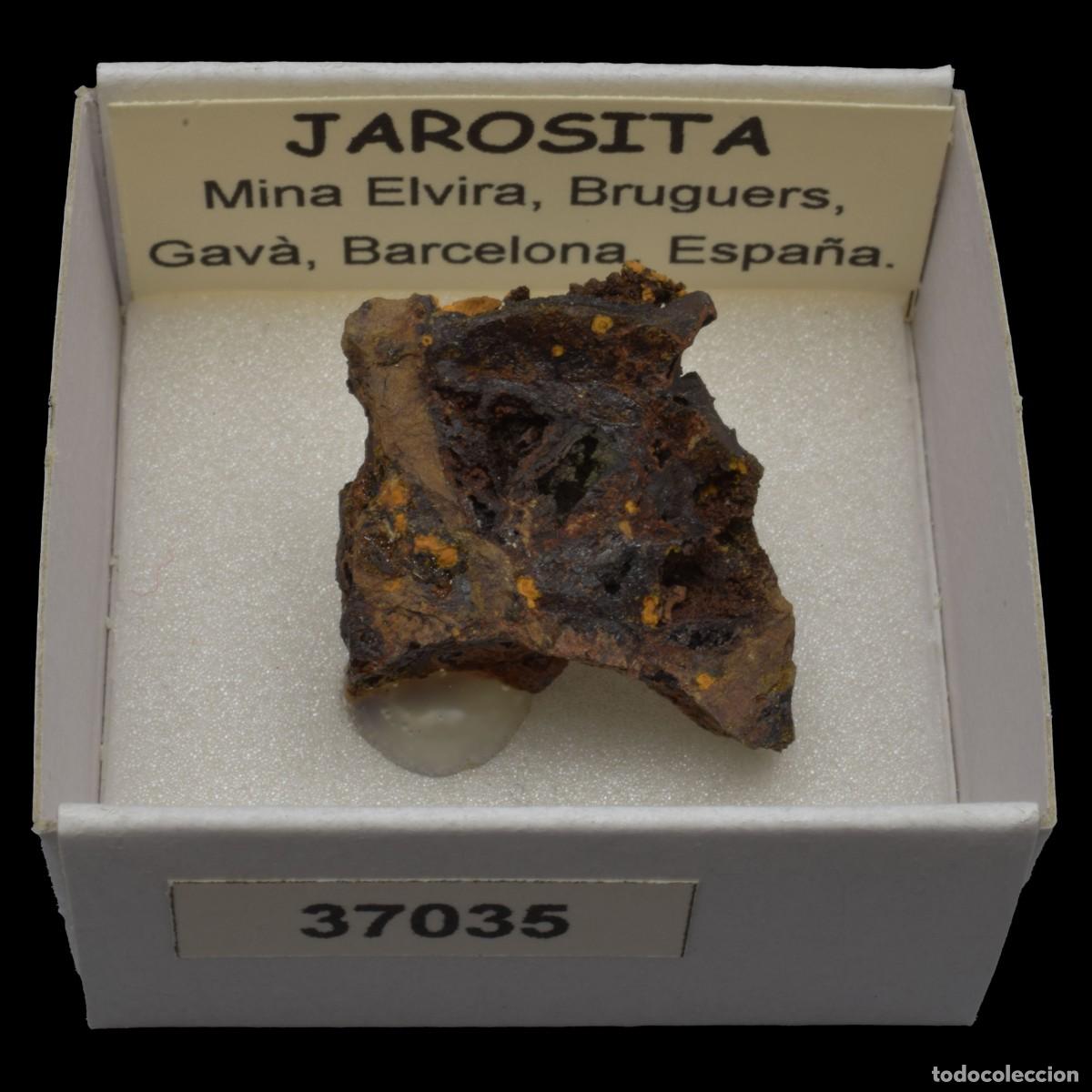 Coleccionismo de minerales: JAROSITA (Mina Elvira, Bruguers, Gava, Barcelona, Espa&ntilde;a) #37035