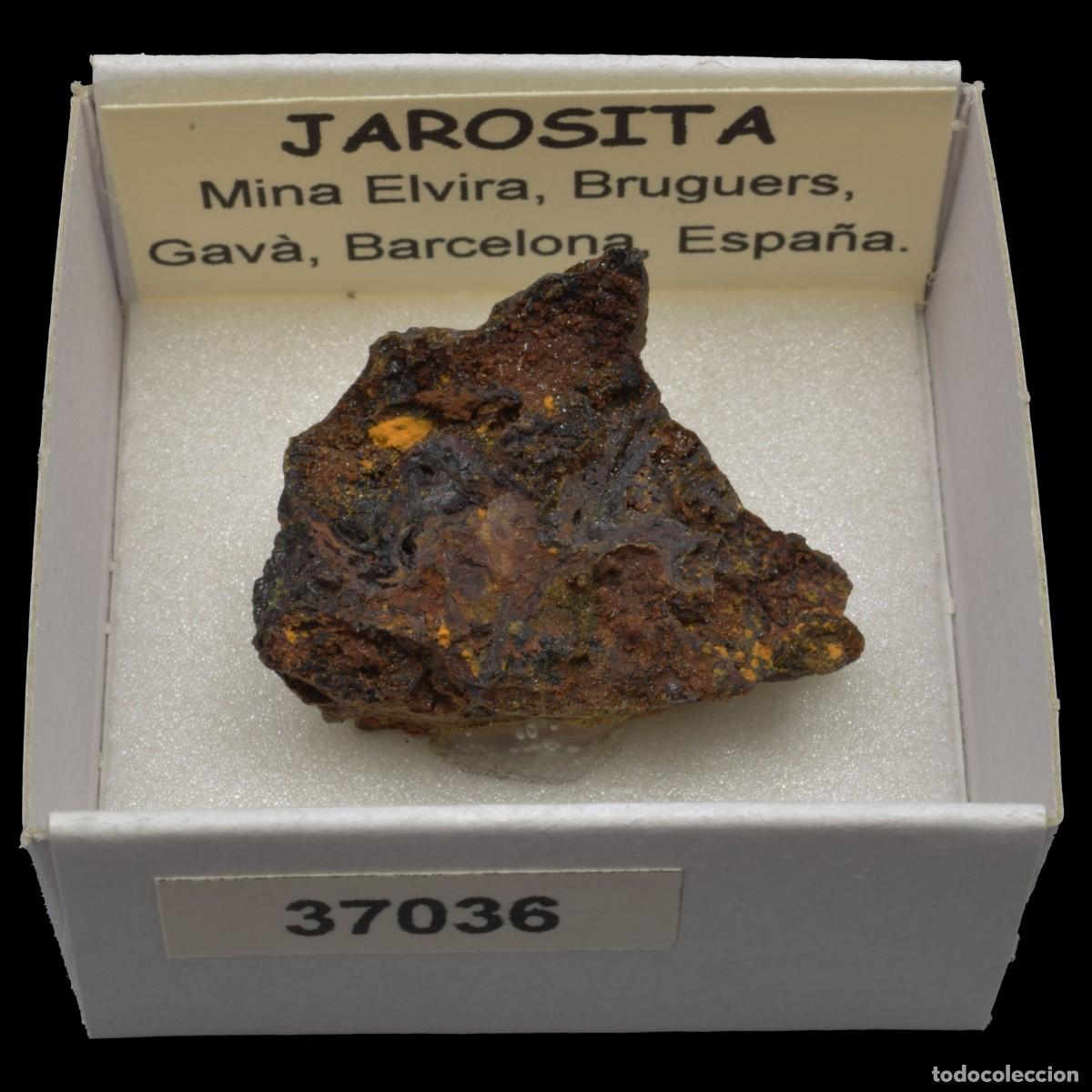 Coleccionismo de minerales: JAROSITA (Mina Elvira, Bruguers, Gava, Barcelona, Espa&ntilde;a) #37036