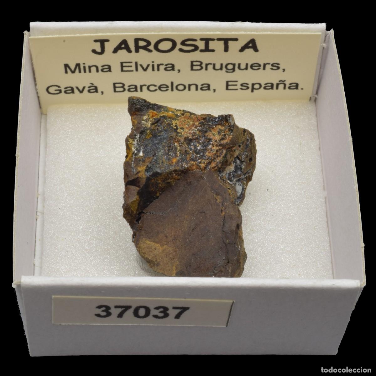 Coleccionismo de minerales: JAROSITA (Mina Elvira, Bruguers, Gava, Barcelona, Espa&ntilde;a) #37037