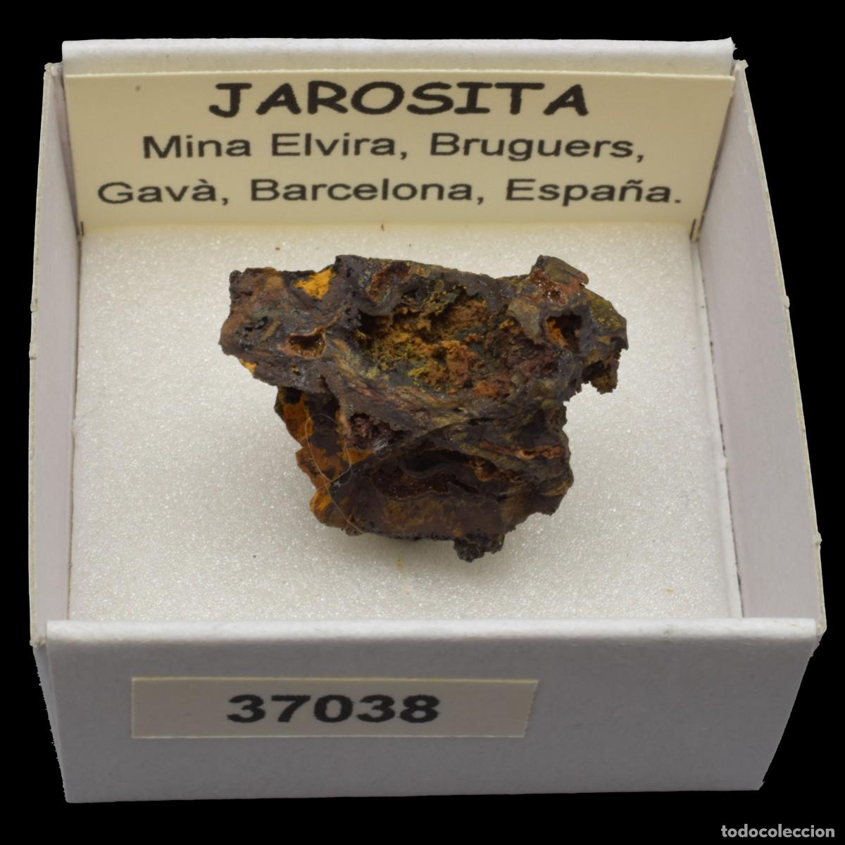 Coleccionismo de minerales: JAROSITA (Mina Elvira, Bruguers, Gava, Barcelona, Espa&ntilde;a) #37038