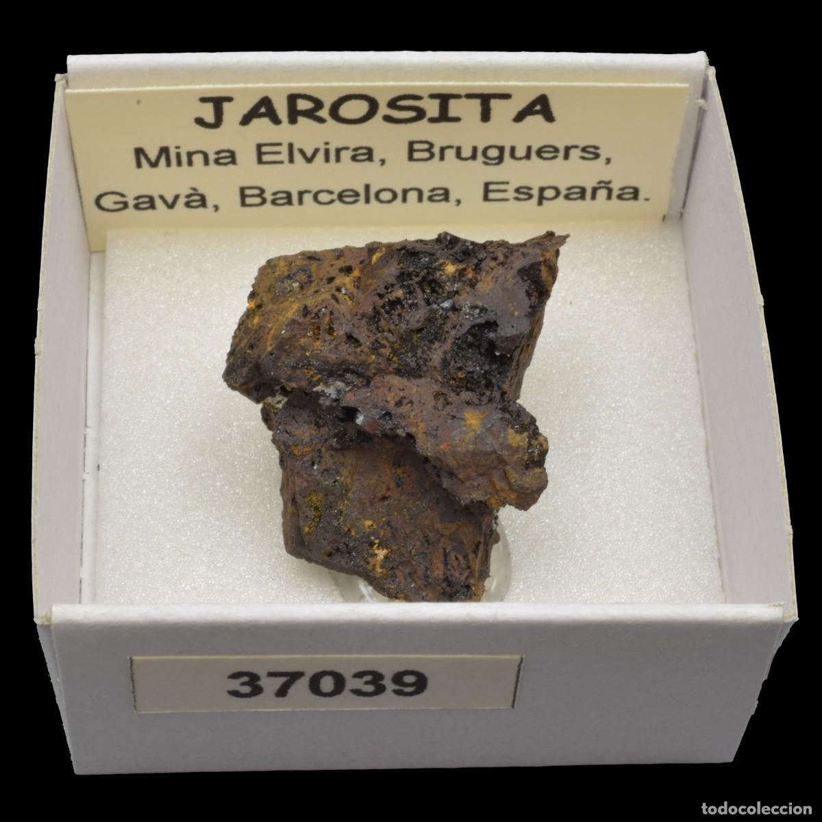 Coleccionismo de minerales: JAROSITA (Mina Elvira, Bruguers, Gava, Barcelona, Espa&ntilde;a) #37039