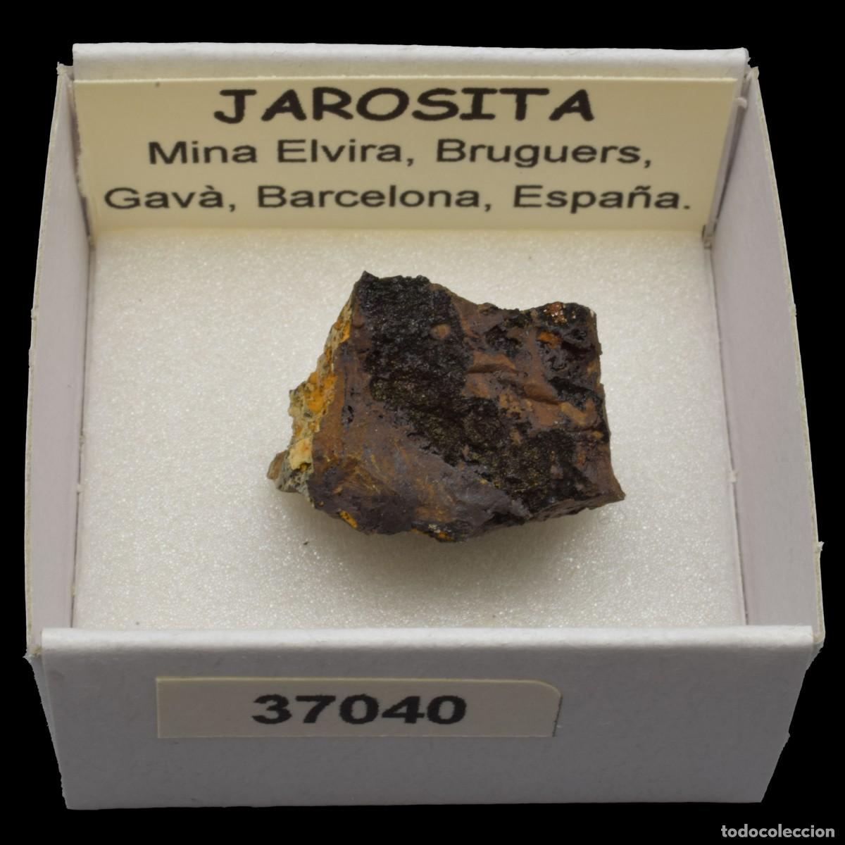 Coleccionismo de minerales: JAROSITA (Mina Elvira, Bruguers, Gava, Barcelona, Espa&ntilde;a) #37040