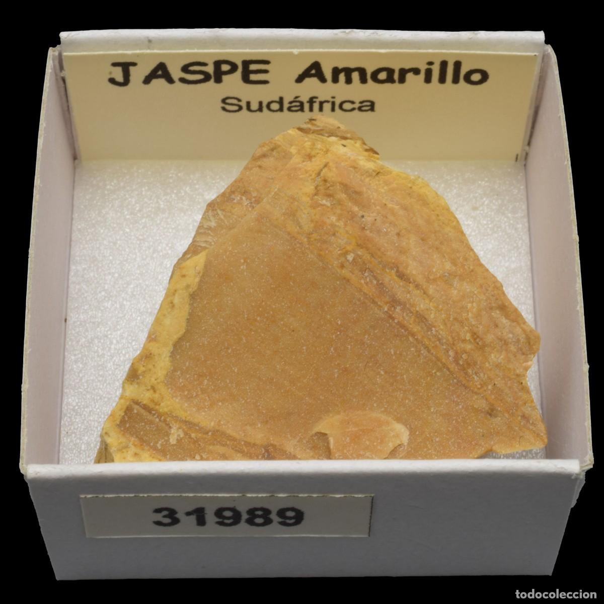 Coleccionismo de minerales: JASPE Amarillo (Sudafrica) #31989