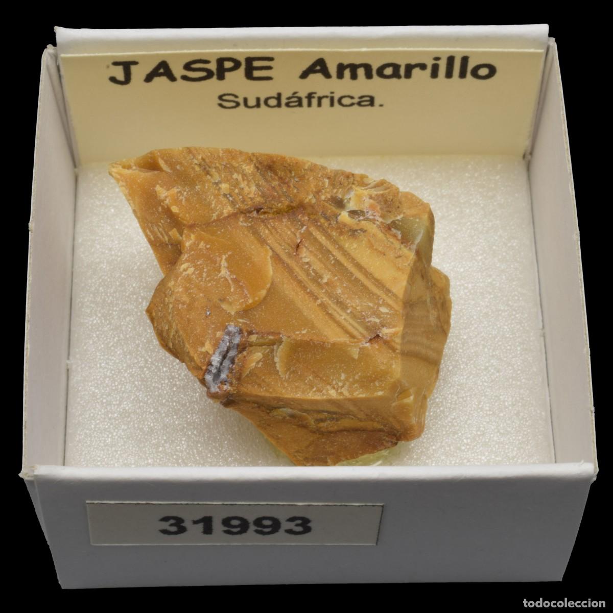 Coleccionismo de minerales: JASPE Amarillo (Sudafrica) #31993