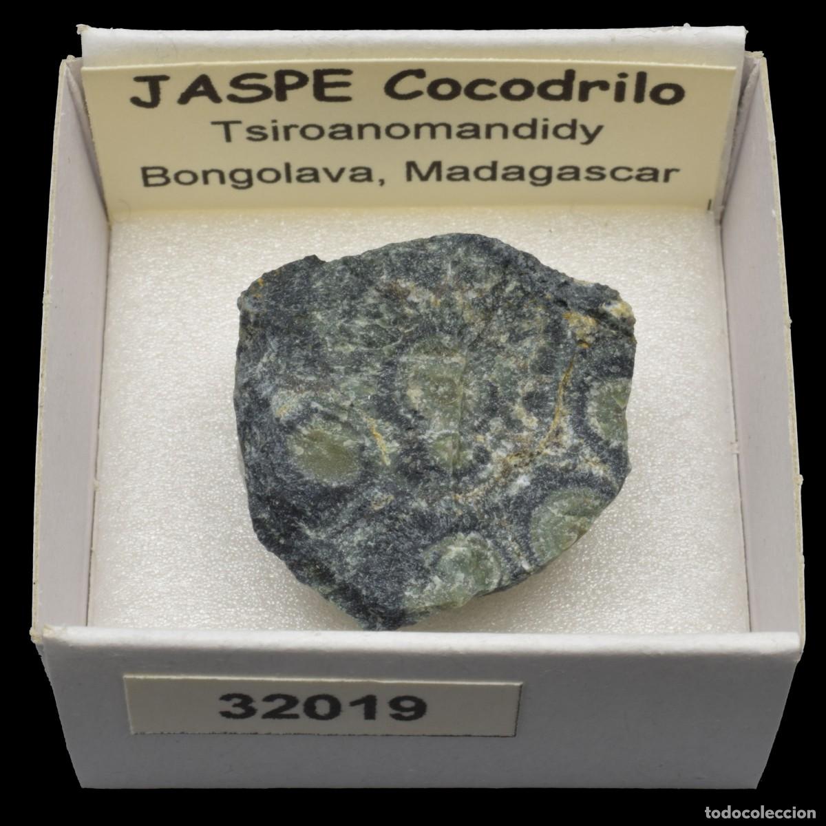 Coleccionismo de minerales: JASPE Cocodrilo (Tsiroanomandidy, Bongolava, Madagascar) #32019