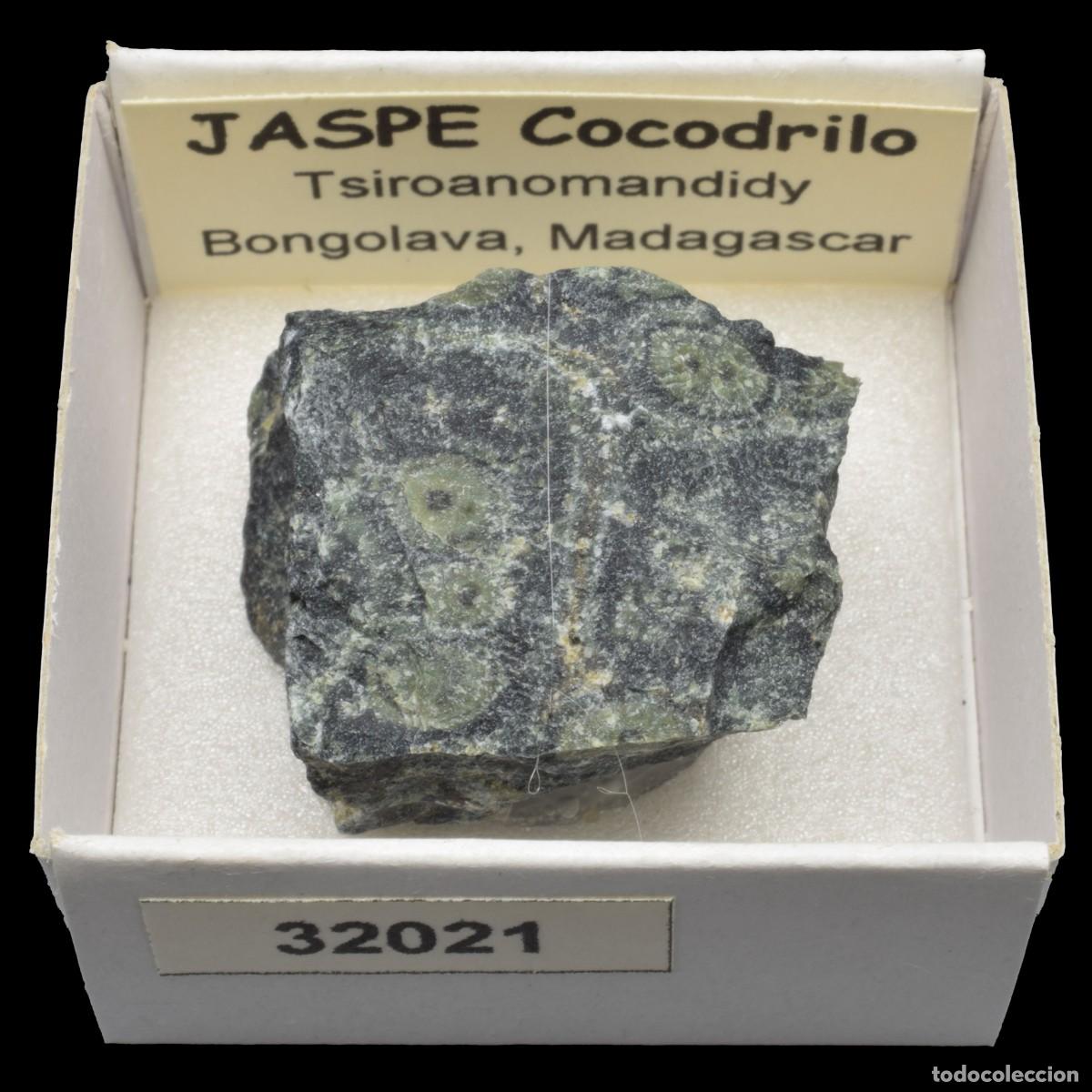 Coleccionismo de minerales: JASPE Cocodrilo (Tsiroanomandidy, Bongolava, Madagascar) #32021